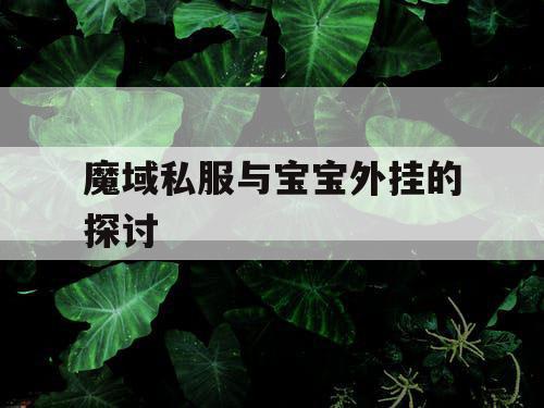 魔域私服与宝宝外挂的探讨