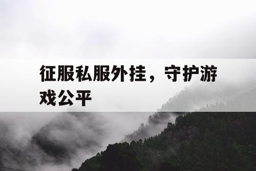 征服私服外挂，守护游戏公平
