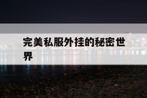 完美私服外挂的秘密世界