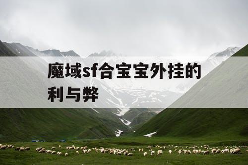 魔域sf合宝宝外挂的利与弊 魔域sf合宝宝外挂的利与弊