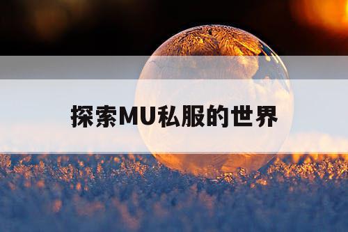 探索MU私服的世界 探索MU私服的世界