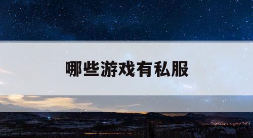 哪些游戏有私服