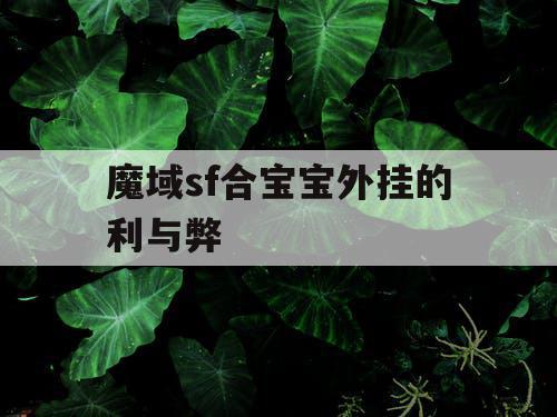 魔域sf合宝宝外挂的利与弊