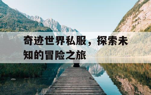 奇迹世界私服，探索未知的冒险之旅