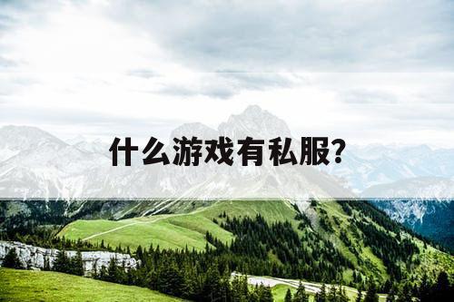 什么游戏有私服？