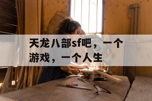 天龙八部sf吧，一个游戏，一个人生
