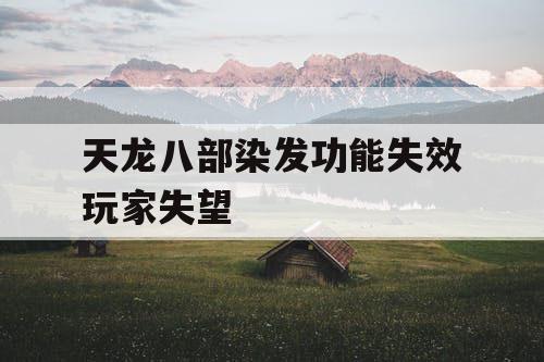 天龙八部染发功能失效玩家失望