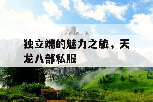 独立端的魅力之旅,天龙八部私服 独立端的魅力之旅,天龙八部私服