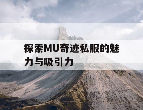探索MU奇迹私服的魅力与吸引力