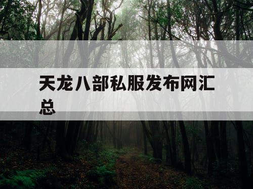 天龙八部私服发布网汇总