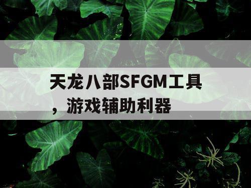 天龙八部SFGM工具,游戏辅助利器 天龙八部SFGM工具,游戏辅助利器