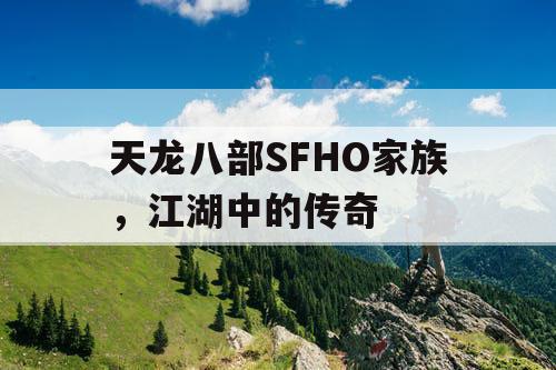 天龙八部SFHO家族，江湖中的传奇