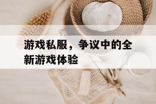 游戏私服，争议中的全新游戏体验