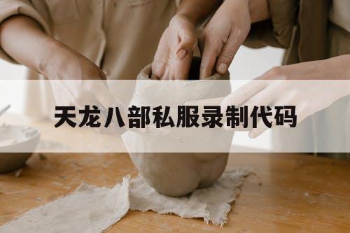 天龙八部私服录制代码