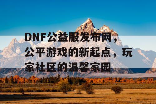 DNF公益服发布网，公平游戏的新起点，玩家社区的温馨家园