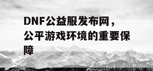 DNF公益服发布网，公平游戏环境的重要保障