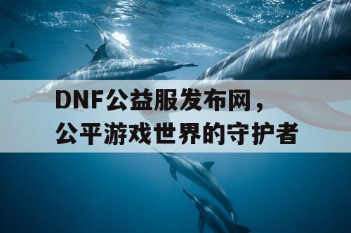 DNF公益服发布网，公平游戏世界的守护者