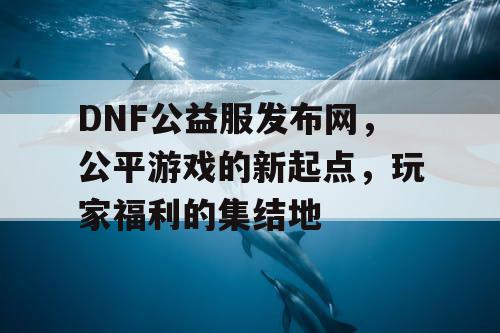 DNF公益服发布网，公平游戏的新起点，玩家福利的集结地