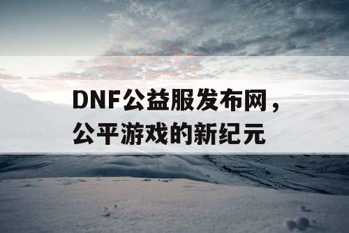 DNF公益服发布网，公平游戏的新纪元