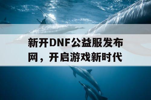 新开DNF公益服发布网，开启游戏新时代