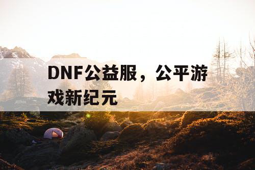 DNF公益服，公平游戏新纪元