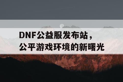 DNF公益服发布站，公平游戏环境的新曙光