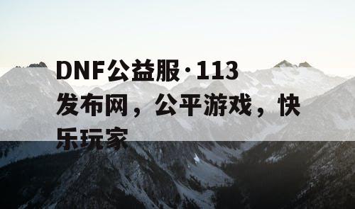 DNF公益服·113发布网，公平游戏，快乐玩家