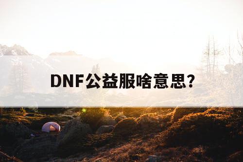 DNF公益服啥意思？