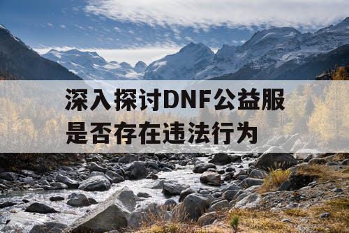 深入探讨DNF公益服是否存在违法行为