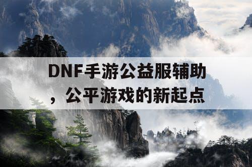 DNF手游公益服辅助，公平游戏的新起点