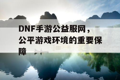 DNF手游公益服网，公平游戏环境的重要保障