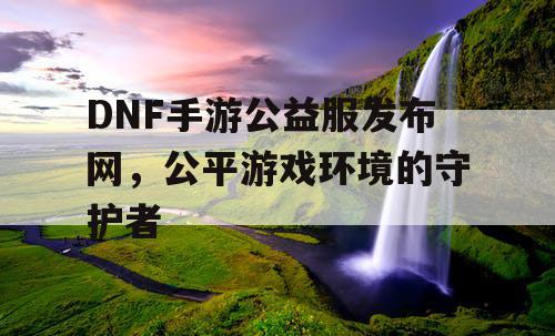 DNF手游公益服发布网，公平游戏环境的守护者