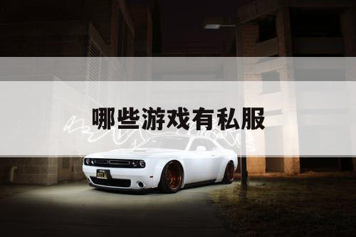 哪些游戏有私服