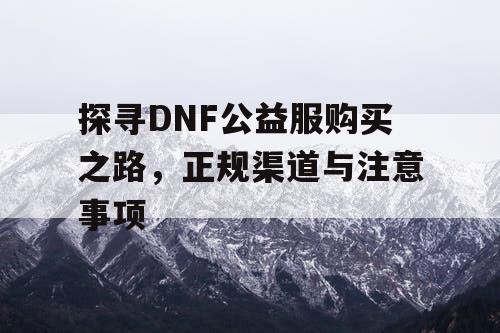 探寻DNF公益服购买之路，正规渠道与注意事项