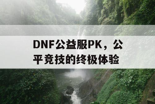 DNF公益服PK，公平竞技的终极体验