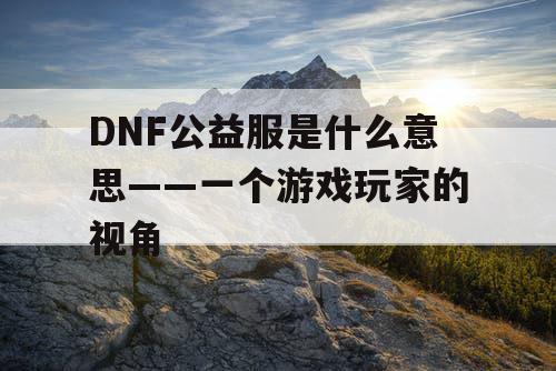 DNF公益服是什么意思——一个游戏玩家的视角