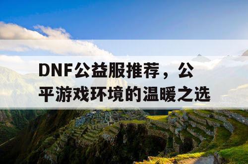 DNF公益服推荐，公平游戏环境的温暖之选