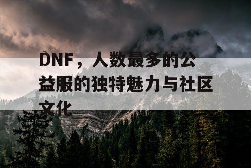 DNF，人数最多的公益服的独特魅力与社区文化