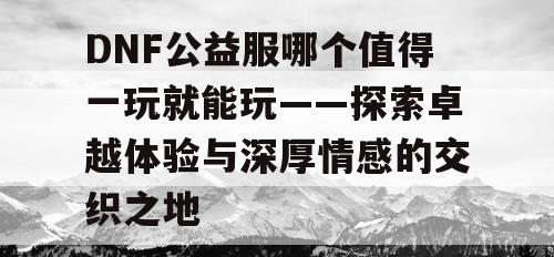 探索DNF公益服的卓越体验与深厚情感