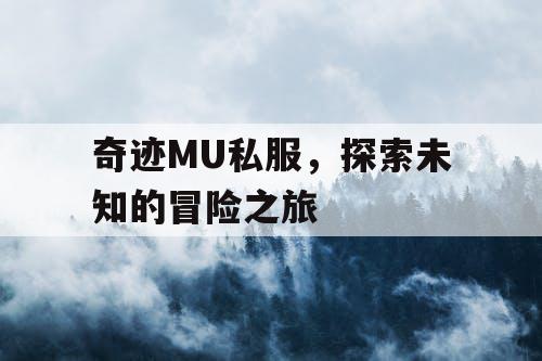 奇迹MU私服，探索未知的冒险之旅