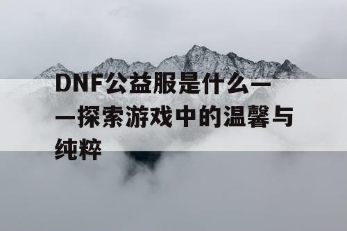 DNF公益服是什么——探索游戏中的温馨与纯粹