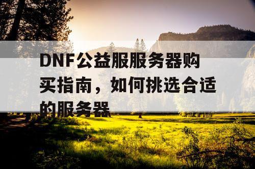 DNF公益服服务器购买指南，如何挑选合适的服务器
