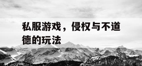 私服游戏，侵权与不道德的玩法