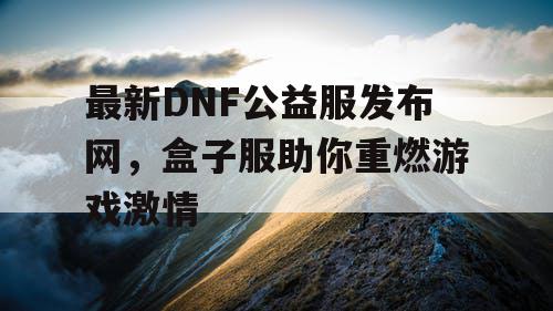 最新DNF公益服发布网，盒子服助你重燃游戏激情