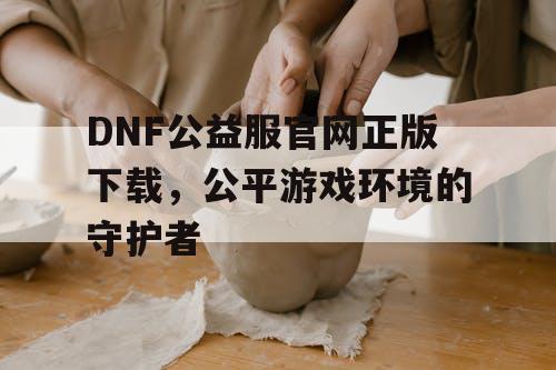 DNF公益服官网正版下载，公平游戏环境的守护者
