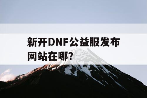 新开DNF公益服发布网站在哪？