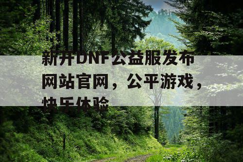 新开DNF公益服发布网站官网，公平游戏，快乐体验