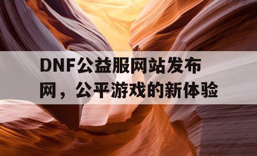 选择公平的DNF公益服网站