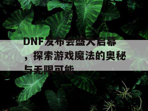 DNF发布会盛大启幕，探索游戏魔法的奥秘与无限可能