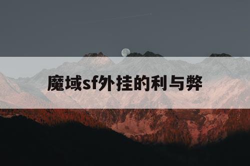 魔域sf外挂的利与弊